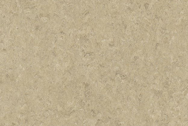 Linoleum 0092 Strand_1
