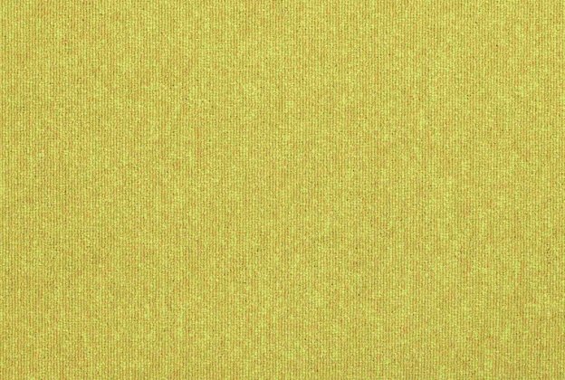 Plaatvaip Paragon CODEC Pathway Accent 5229 kollane_1