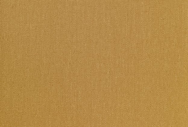 Vinüülseinakate Vescom Albert 1103.09 sinepikollane_1