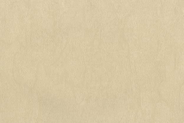 Vinüülseinakate Muraspec Brayer-P8614 beeź_1