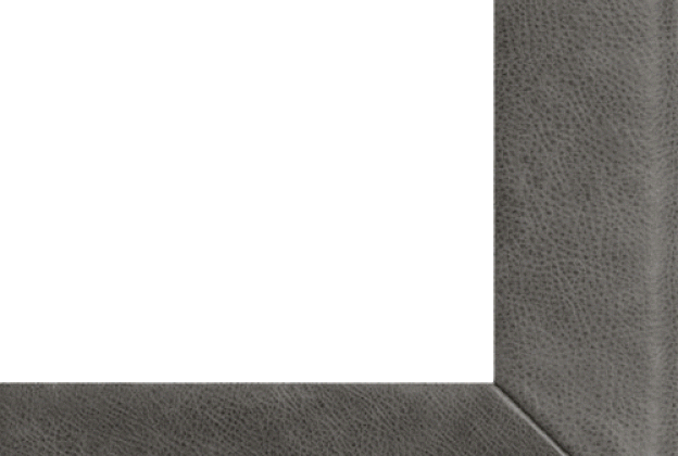 Vaiba ääristus Leather 796 - staal hall_1