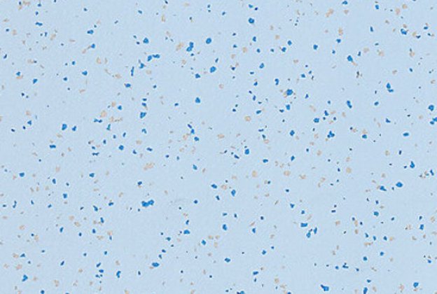 Acoustic PVC 9753 Energy - Cloned - Cloned - Cloned - Cloned - Cloned - Cloned - Cloned - Cloned - Cloned - Cloned - Cloned - Cloned - Cloned - Cloned_1