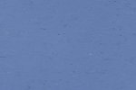 Linoleum 0004 Bluebird_1