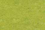 Linoleum 0132 Limegrønn_1
