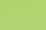 Linoleumi 0132 Spicy Green_1