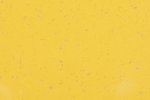 PVC kommersiella utrymme 5422 Sunflower - Cloned_1