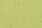 PVC kommersiell plass 5427 Green Zest - Cloned_1