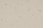 PVC commercial premises 5441 Clay Soil - Cloned_1