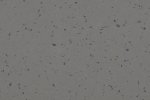 PVC-kauppatila 5444 Rocky Hill - Cloned_1