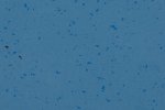 PVC business premises 5446 Blue Nug - Cloned_1