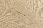 Laminaatparkett Capture Brushed oak natural SIG4763 pruun_2