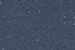 Elektrit juhtiv PVC Gerflor GTI EL5 Connect 0351 Black must_1