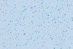 PVC kommersiell plass 4496 Light Sapphire_1