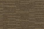 Plaatvaip Paragon Elemental Cloudburst, Starfield Shower, 102194 pruun_1