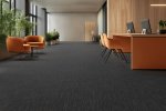 Plaatvaip Paragon Cloudburst, Nimbus Grey, 810114 hall_3