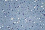 Niiske ruumi PVC Gerflor Shower System "Tarasafe Ultra H2O" 7413 Ocean Blue sinine_1