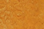 Linoleum 0072 Peach Orange_1