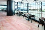 PARQUET Canadian maple natural_2