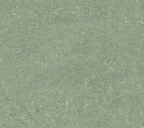 Linoleum 0043 Bladgrønn