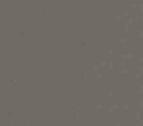 Linoleum 0058 Clay Grey