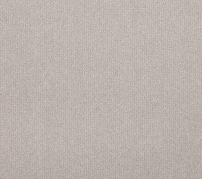 Plaatvaip Paragon CODEC Binary Accent 9183 hall