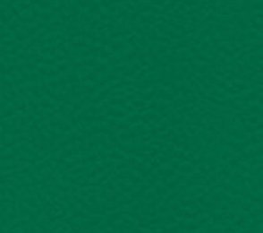 Sportpõrand Gerflor Taraflex Surface 6557 Forest roheline 