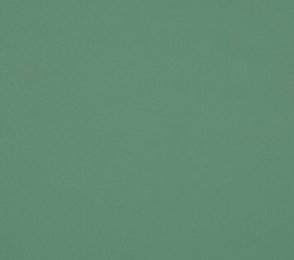 Sportpõrand Gerflor Taraflex Comfort 6553 Fern roheline